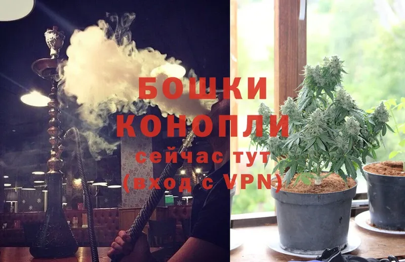 Бошки марихуана OG Kush  Рыбное 